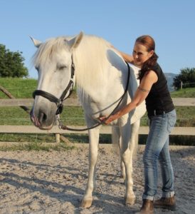 A woman working with a horse.